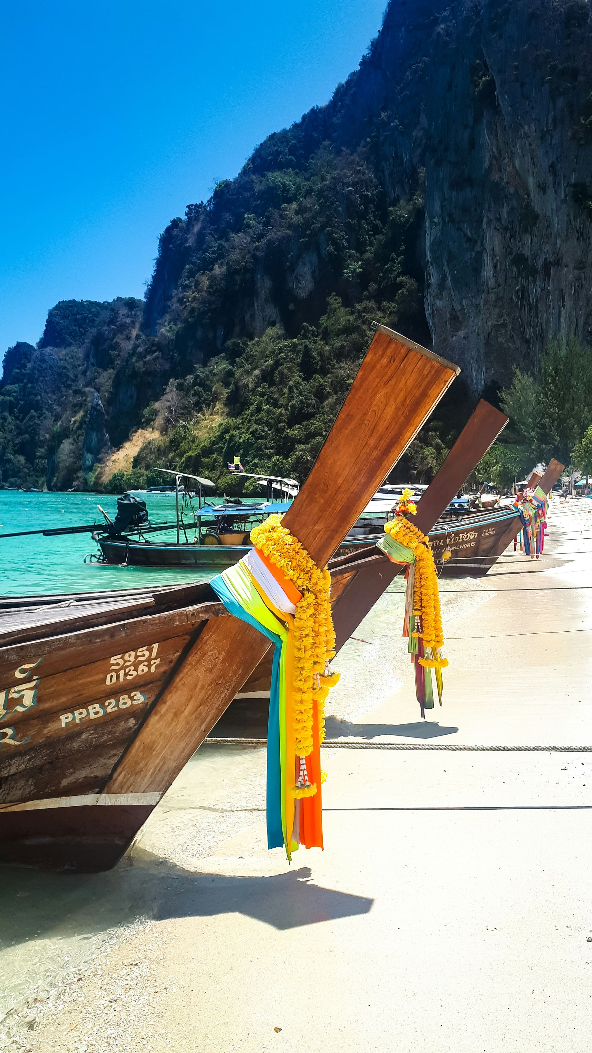 Cruises
